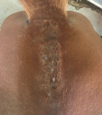 Stormy — After treatment